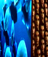 metaforms2.jpg: 160x190, 61k (October 12, 2009, at 06:25 PM) metaforms2.jpg: 160x190, 61k (October 12, 2009, at 06:25 PM)