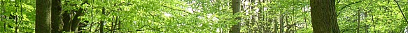 wald2.jpg: 2816x232, 181k (October 19, 2009, at 01:07 AM) wald2.jpg: 2816x232, 181k (October 19, 2009, at 01:07 AM)